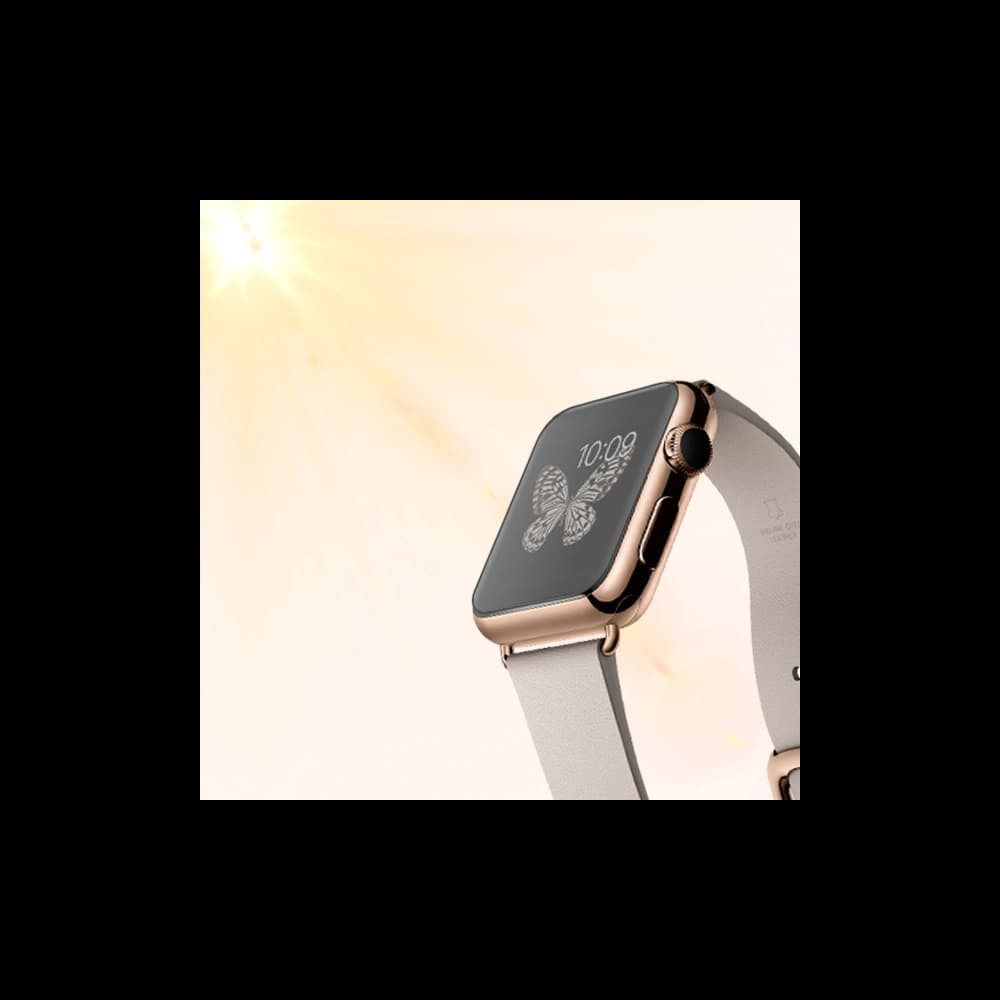 GrizzGlass PaperScreen Garmin S60 Approach - 3