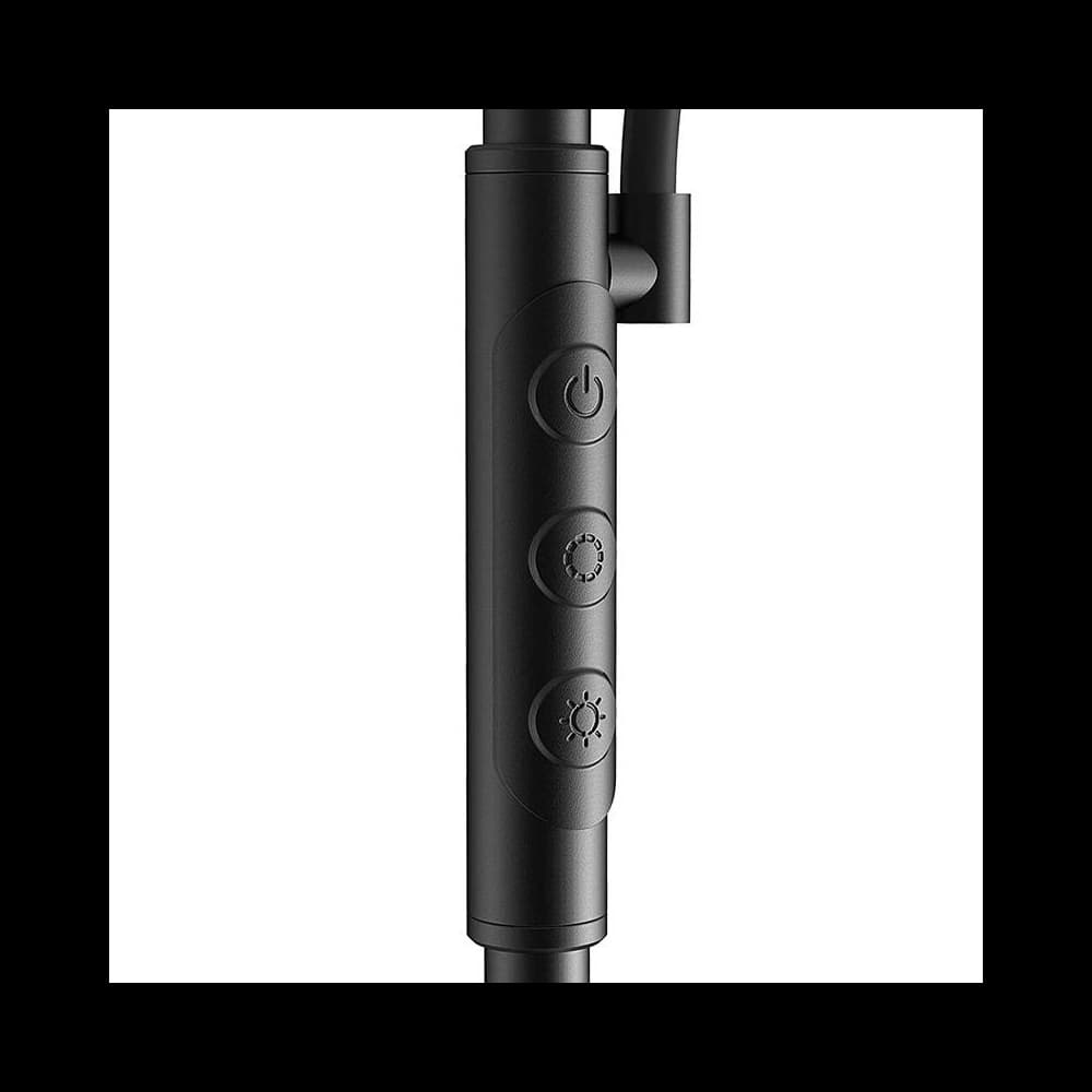 Blitzwolf BWL-FL-0001 Double Floor Lamp with Remote Control 36W (black) - 3