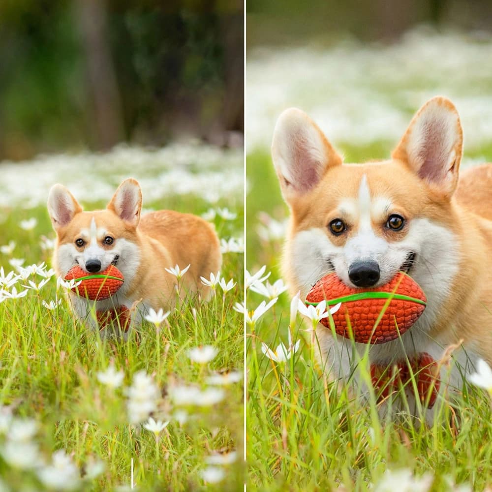 Choetech ASC005 Camera WiFi with Android/iOS app + solar panel 5W - 4