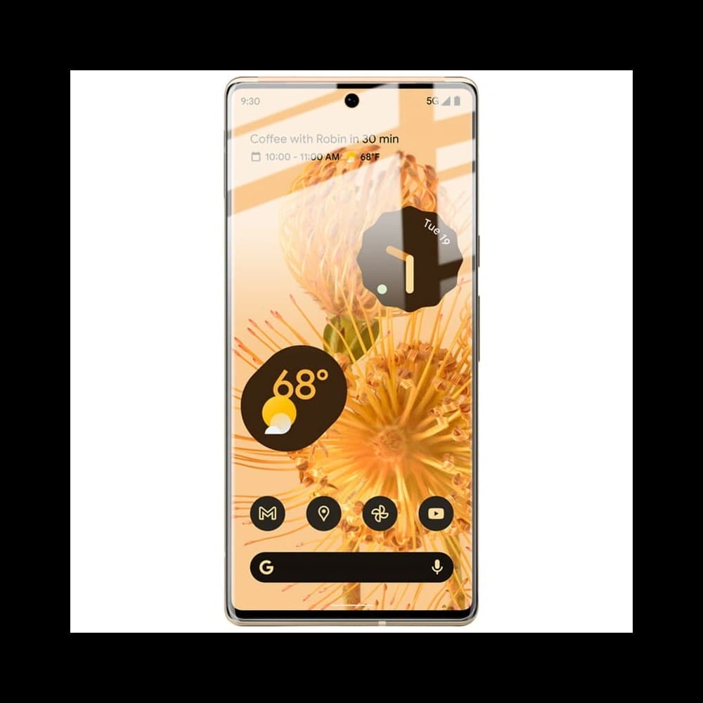 Bizon Glas Hydrogel Google Pixel 6 Pro [2 PACK] - 4