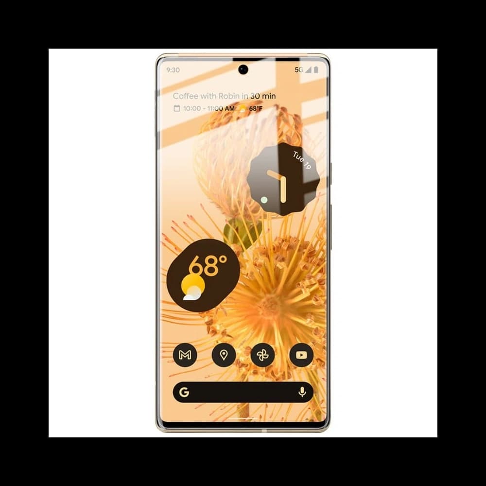 Bizon Glas Hydrogel Google Pixel 6 Pro [2 PACK] - 6