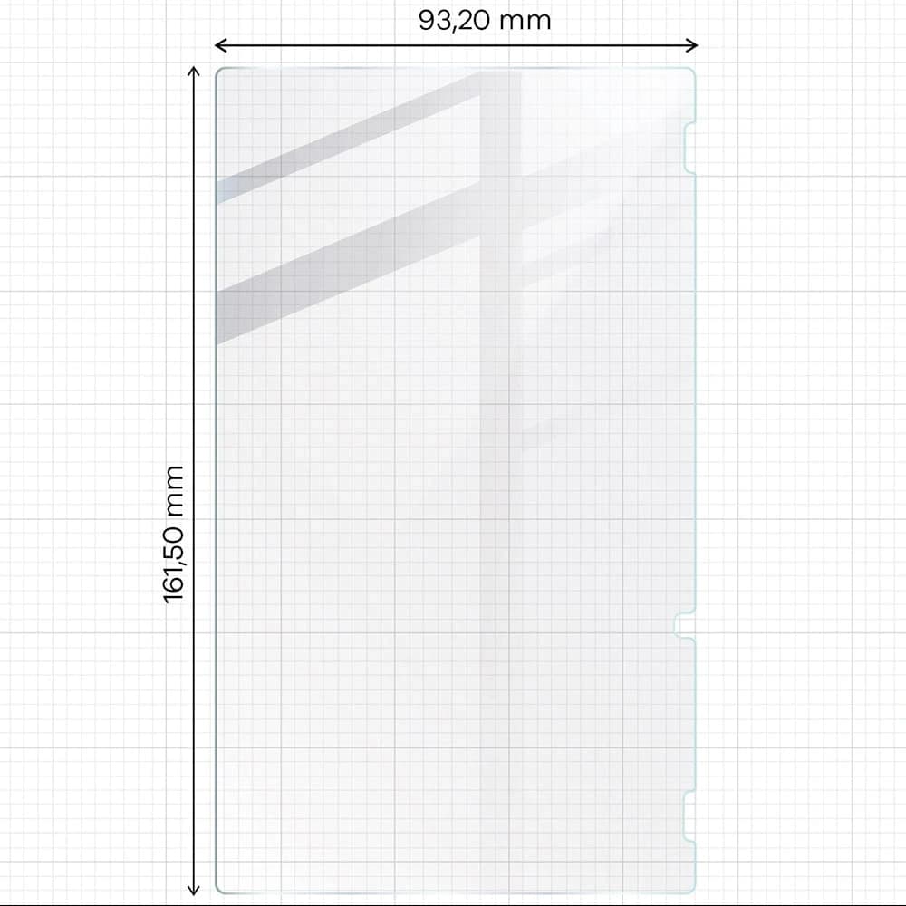 Bizon Glass Tab Klar Nintendo Switch [2 PACK] - 2