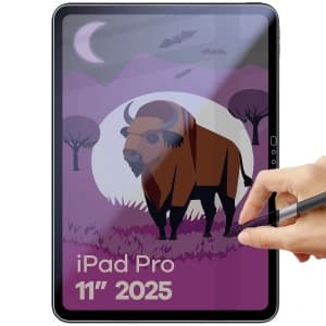 Bizon Glass Tab Mule Shadow Apple iPad Pro 11" M5 2025 matte