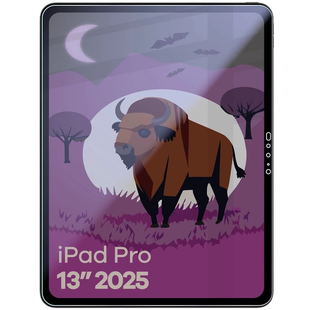Bizon Glass Tab Mule Shadow Apple iPad Pro 13" M5 2025 matt - 3