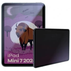 Bizon Glass Tab Mule Shadow Apple iPad Mini 7 2024 matte