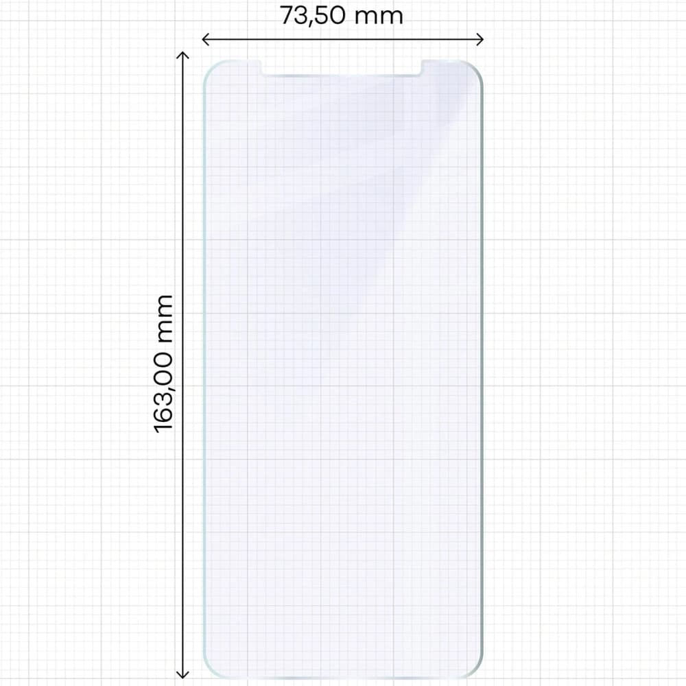 Bizon Glass Mule Duo HAMMER Iron 6 5G / 6 [2 PACK]
 - 2