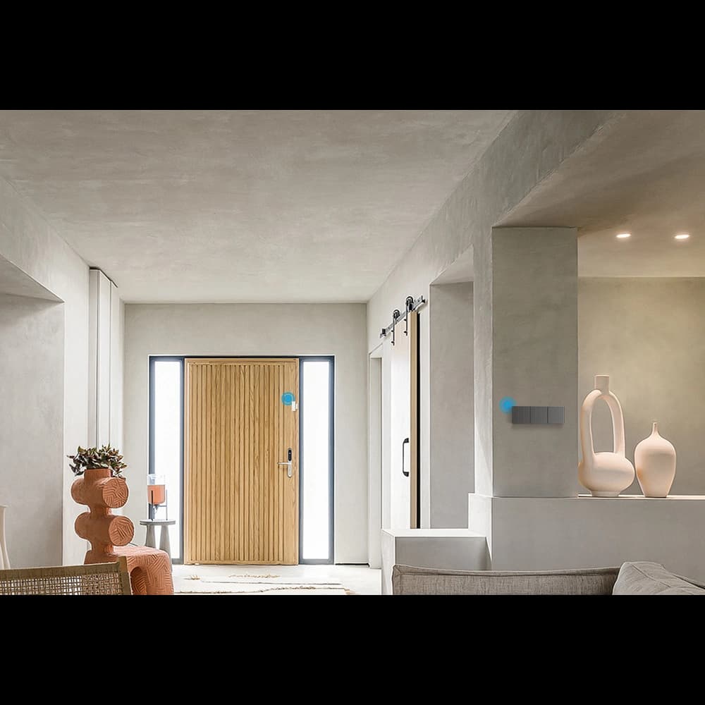 [CR] Intelligenter Wandschalter Sonoff 1-Kanal Wi-Fi schwarz - 13